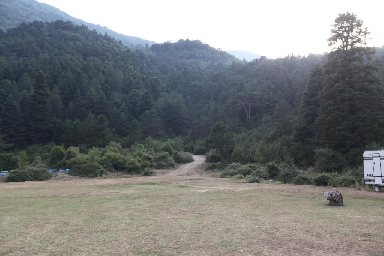 Hamiti Camping Center Dukat エクステリア 写真