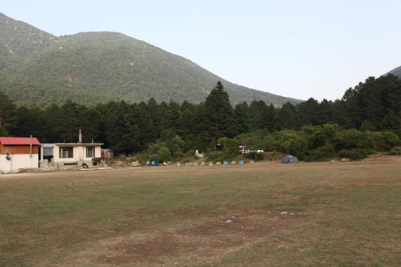 Hamiti Camping Center Dukat エクステリア 写真